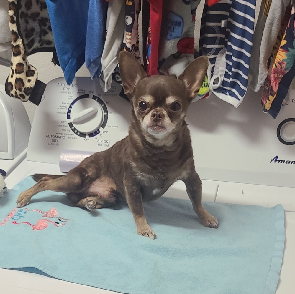 Trade 818lovelv only